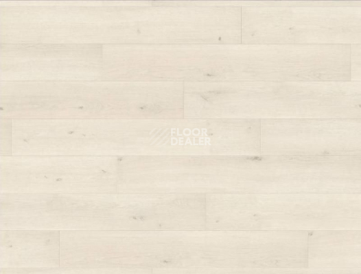 Ламинат Haro Tritty 100 4V ДУБ ЭМИЛИЯ БЕЛЫЙ 538689 фото 1 | FLOORDEALER